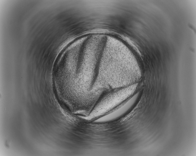 X0000096421229200802141626