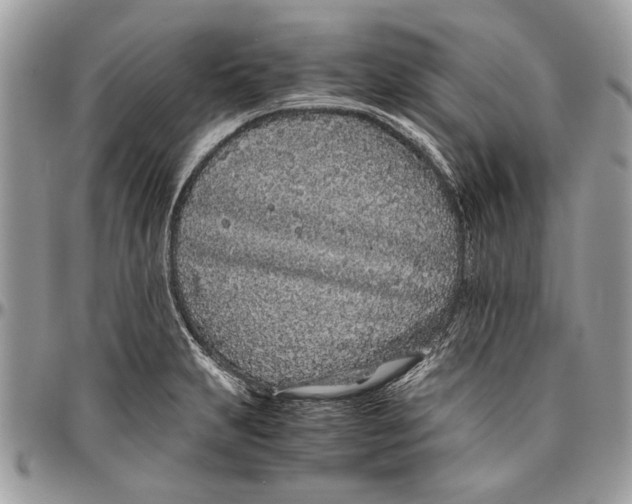 X0000096421231200802141626