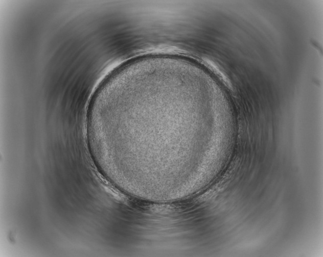 X0000096421232200802141626