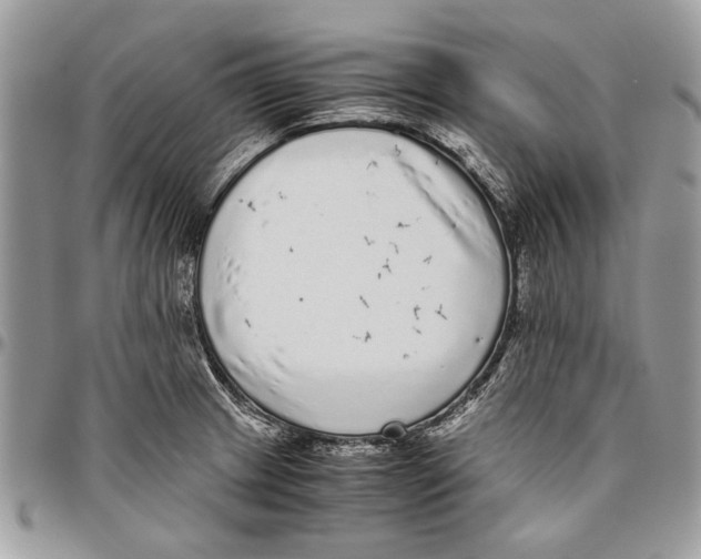 X0000096421233200802141626