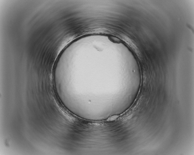 X0000096421234200802141626