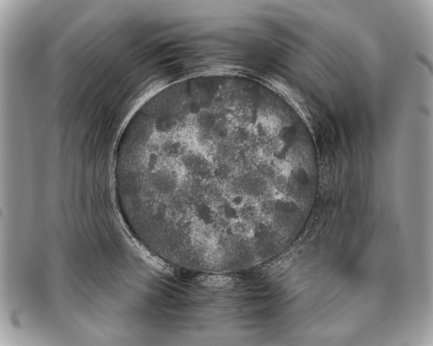 X0000096421235200802141626