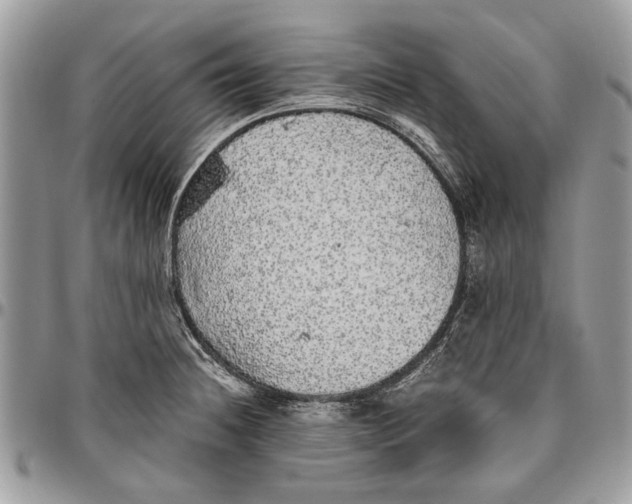 X0000096421236200802141626