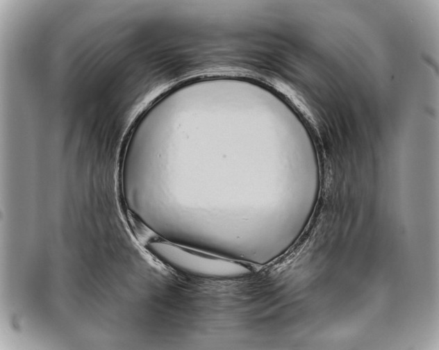 X0000096421237200802141626