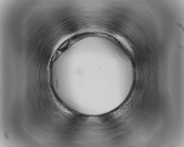 X0000096421238200802141626