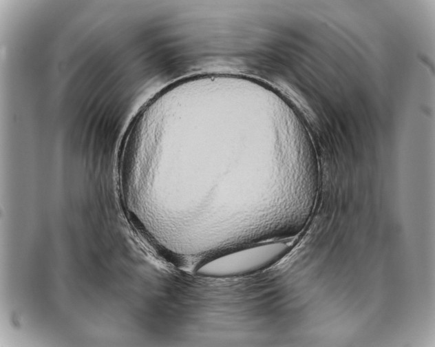 X0000096421240200802141626