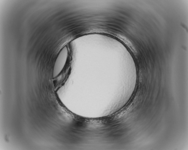 X0000096421241200802141626