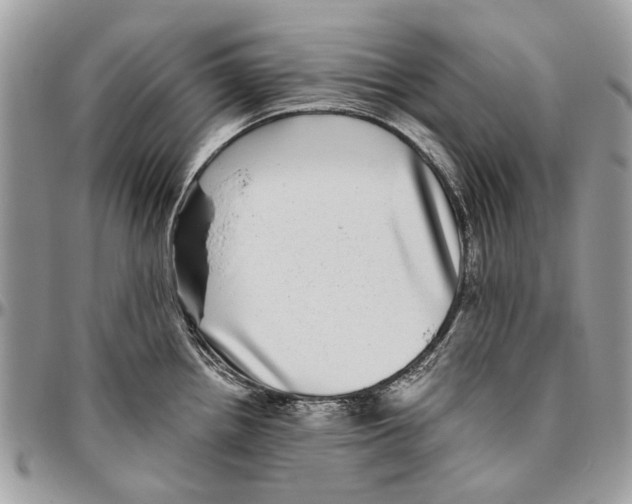 X0000096421242200802141626