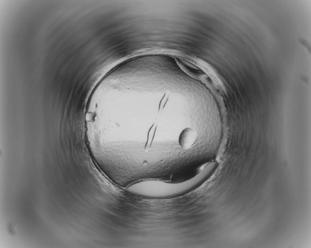 X0000096421244200802141626