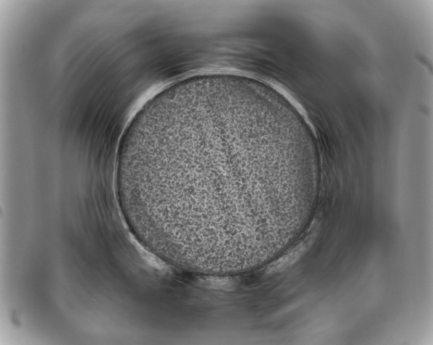 X0000096421245200802141626