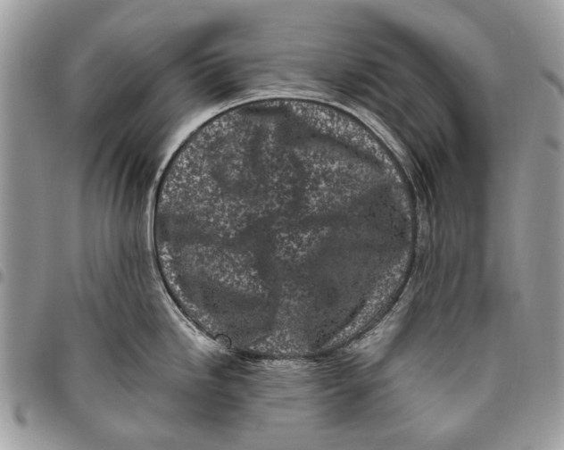 X0000096421246200802141626