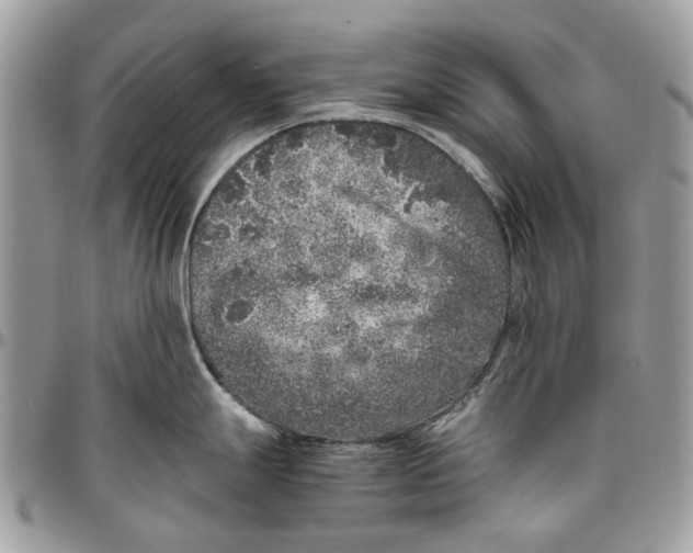 X0000096421247200802141626