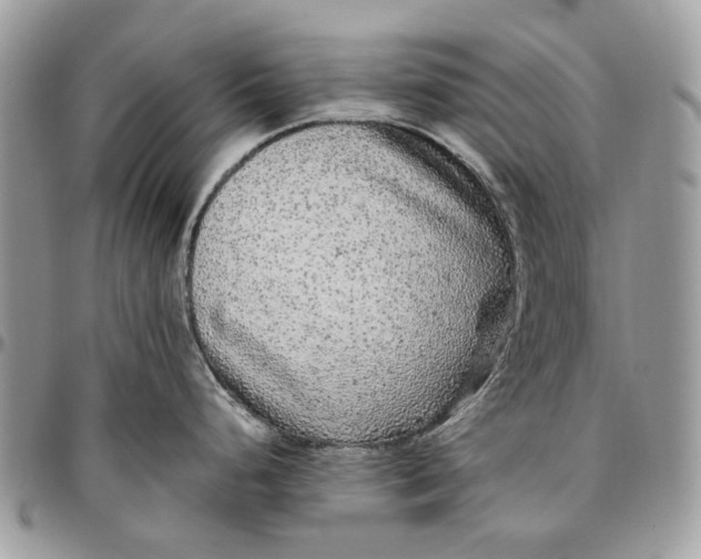 X0000096421248200802141626