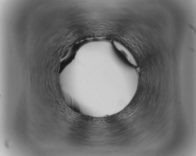 X0000096421249200802141626