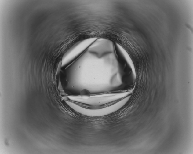 X0000096421250200802141625