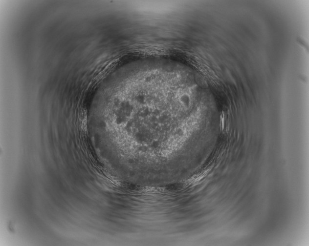 X0000096421251200802141625