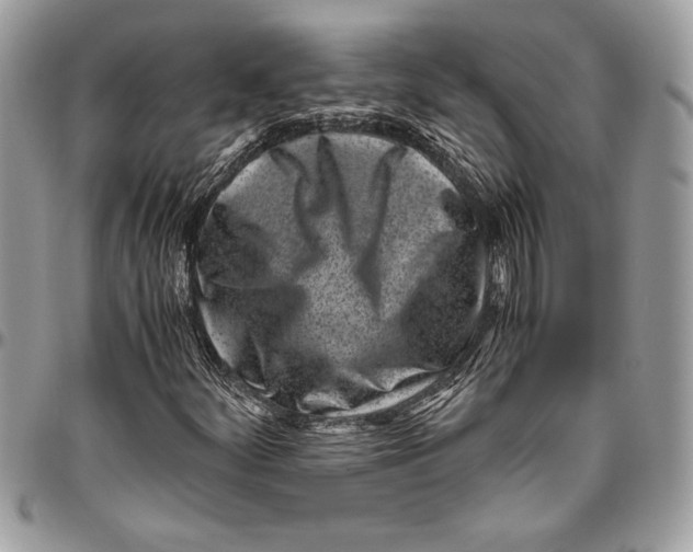 X0000096421252200802141625