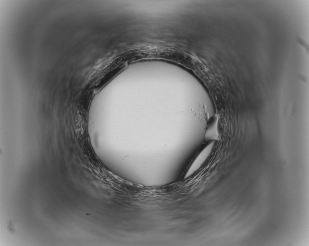 X0000096421253200802141625