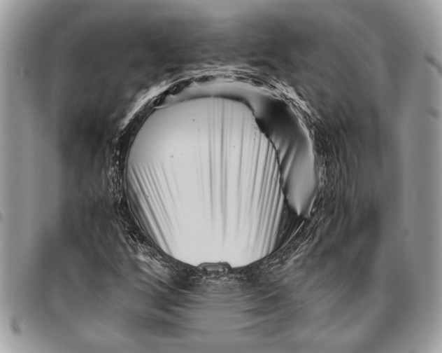 X0000096421256200802141625