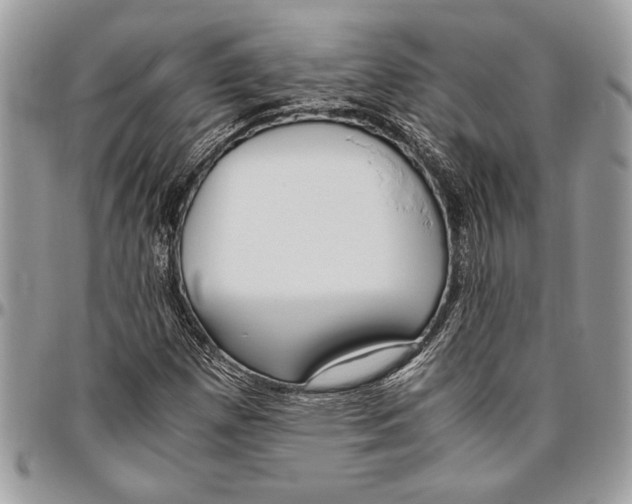 X0000096421257200802141625