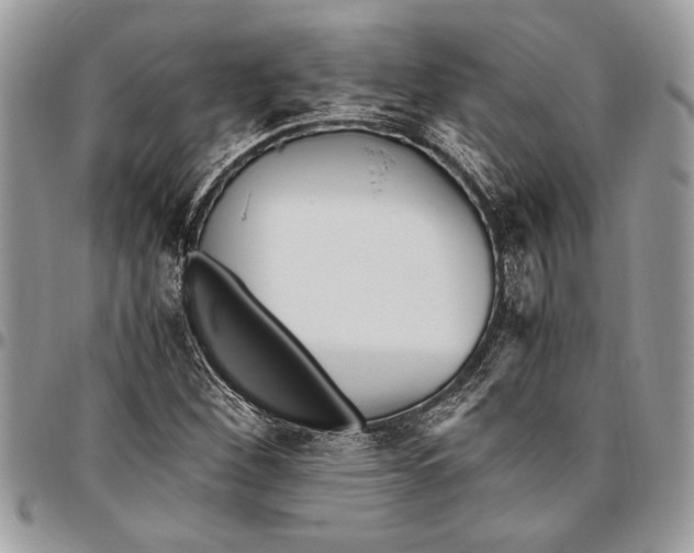 X0000096421260200802141625