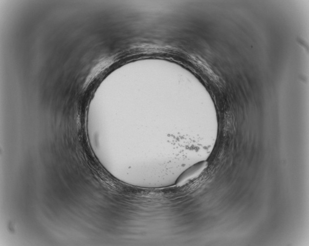 X0000096421261200802141625