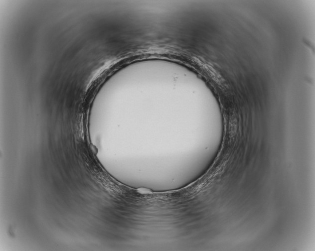 X0000096421262200802141625