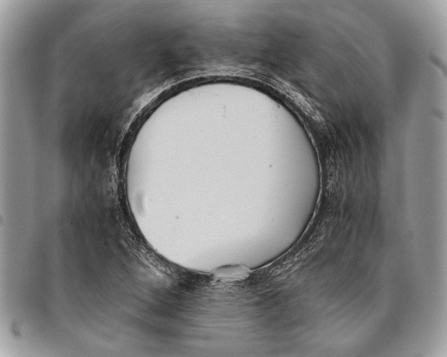 X0000096421264200802141625