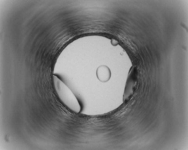 X0000096421265200802141625