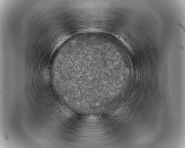 X0000096421266200802141625