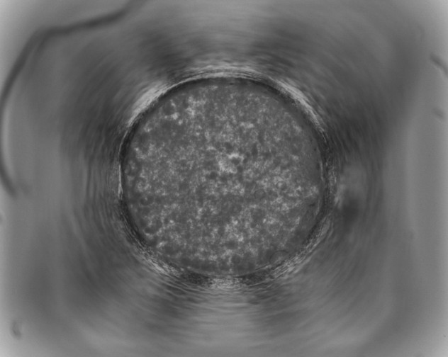 X0000096421267200802141625