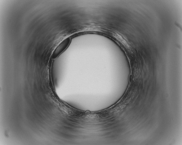 X0000096421268200802141625