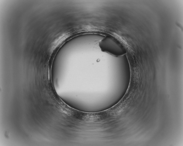 X0000096421269200802141625