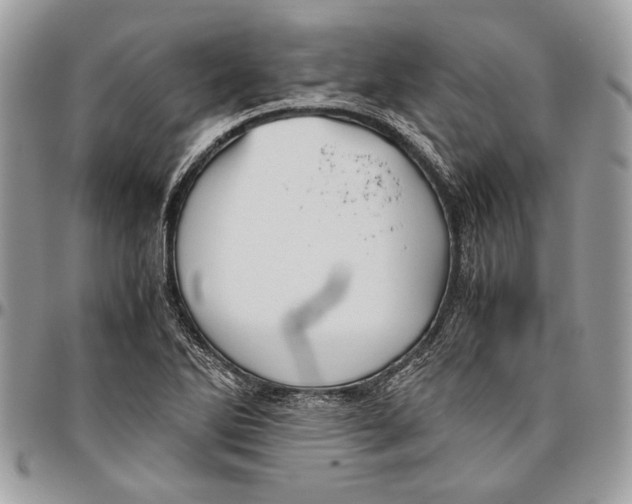 X0000096421270200802141625