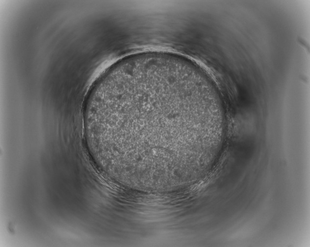 X0000096421271200802141625