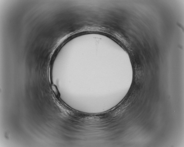 X0000096421272200802141625