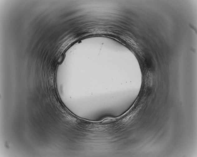 X0000096421273200802141625