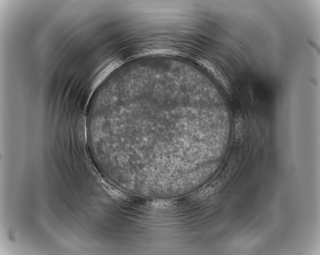 X0000096421274200802141625