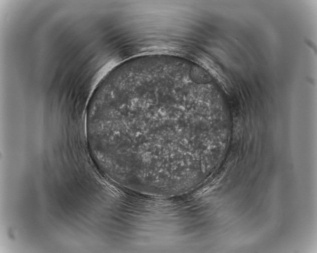 X0000096421275200802141625