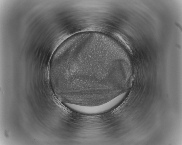 X0000096421276200802141625