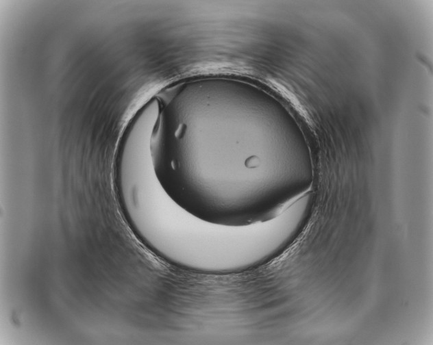 X0000096421277200802141625