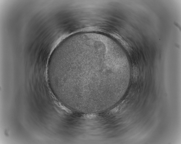 X0000096421278200802141625