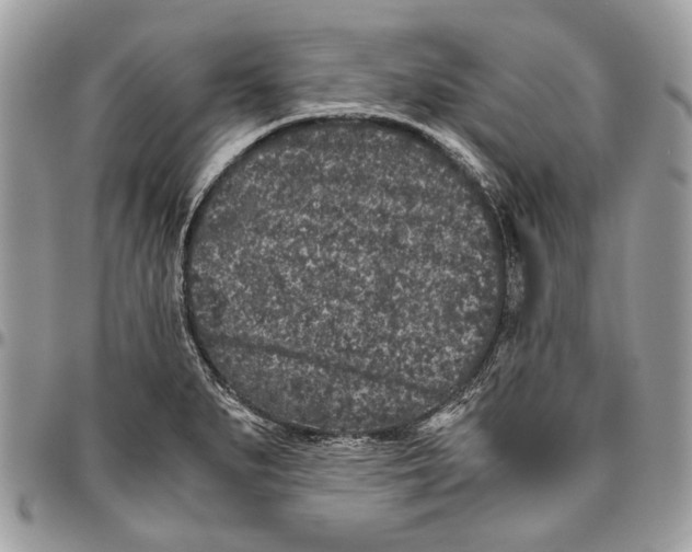 X0000096421279200802141625