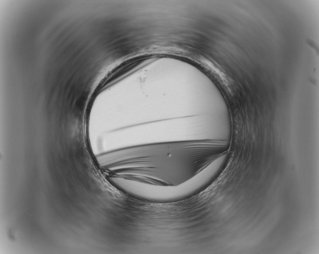 X0000096421280200802141625