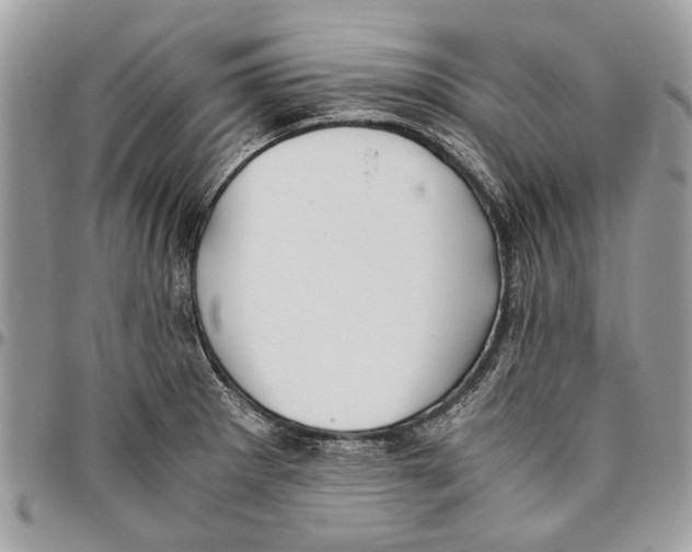 X0000096421281200802141625