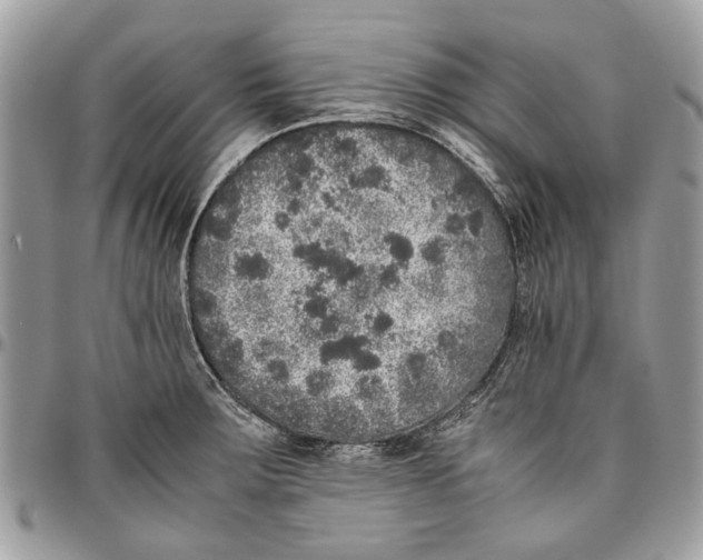 X0000096421283200802141625