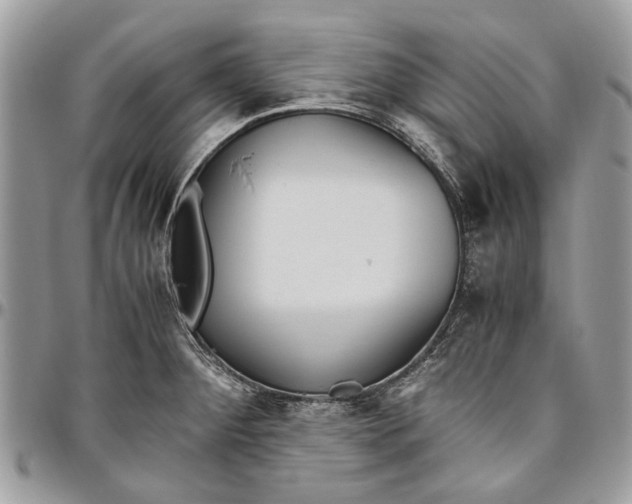 X0000096421284200802141625