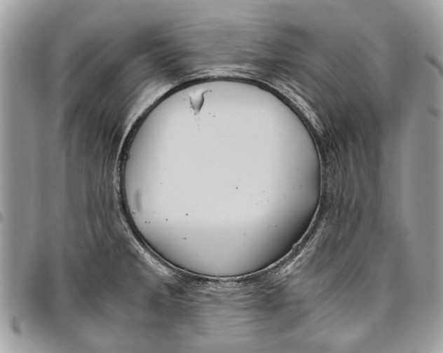 X0000096421285200802141625