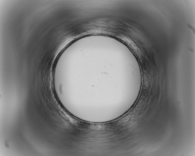 X0000096421286200802141625