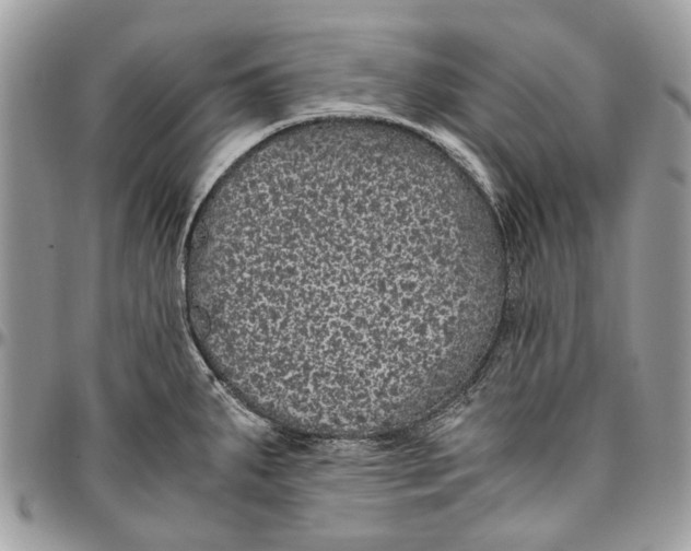 X0000096421287200802141625